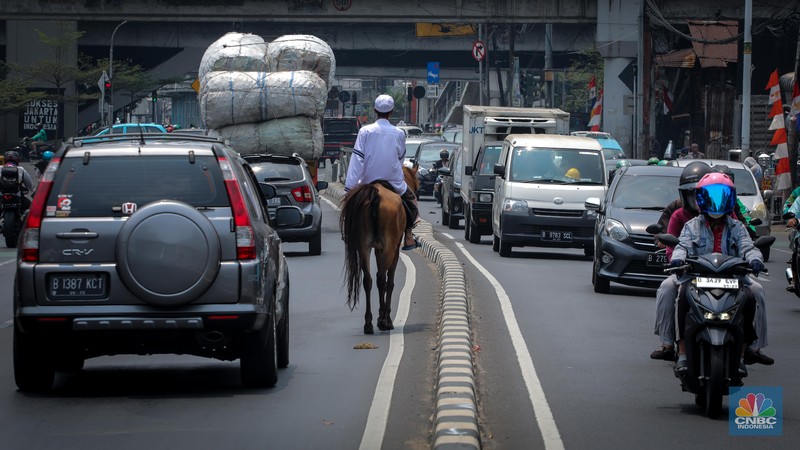 Seorang pria bernama Abdullah nampak menunggangi kuda saat melintas di Jalan Dewi Sartika, Jakarta Timur, Jumat (8/9/2023). (CNBC Indonesia/Faisal Rahman) Seorang pria bernama Abdullah nampak menunggangi kuda saat melintas di Jalan Dewi Sartika, Jakarta Timur, Jumat (8/9/2023). (CNBC Indonesia/Faisal Rahman)