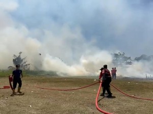 13 Desa di Klungkung Rawan Karhutla, Total Area Capai 26 Ribu Hektare