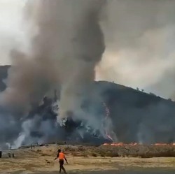 Kebakaran Bromo Buat Negara Rugi Rp4 M, Ini Kata Sri Mulyani
