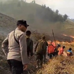 Negara Rugi Rp89 M Gara-Gara Bromo Kebakaran, Ini Rinciannya
