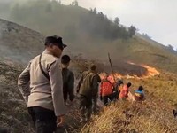 Negara Rugi Rp89 M Gara-Gara Bromo Kebakaran, Ini Rinciannya