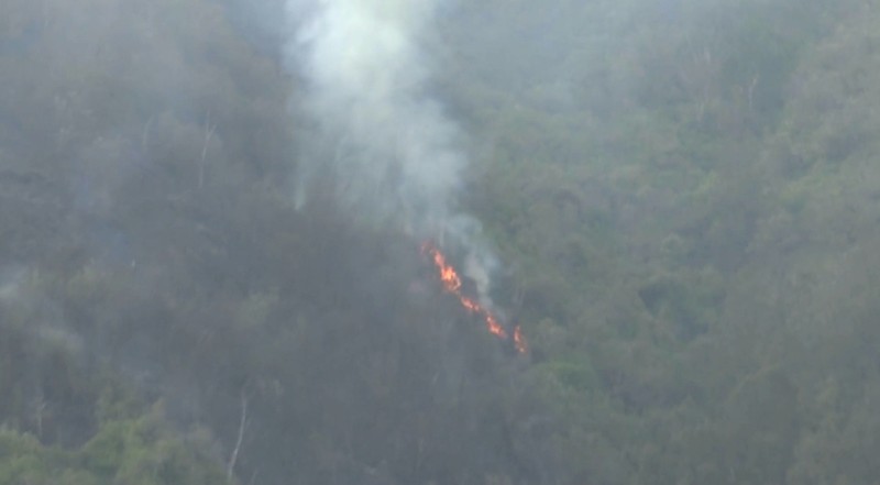 Wisata Bromo sepi pengunjung akibat kebakaran hutan dan lahan yang disebabkan oleh sebuah flare yang dinyalakan pengunjung saat berfoto prewedding. Wisata Bromo sepi pengunjung akibat kebakaran hutan dan lahan yang disebabkan oleh sebuah flare yang dinyalakan pengunjung saat berfoto prewedding. (Dok. DetikJatim/M Rofiq)