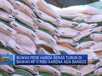 Ada Bansos, Harga Beras Bakal Turun di Bawah Rp11 Ribu?