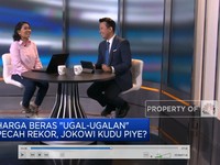 Harga Beras Naik & Pecah Rekor, Bahaya Ini Mengintai RI!