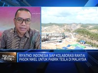 Jokowi Sambut Investasi Prancis di IKN, Seberapa Besar?