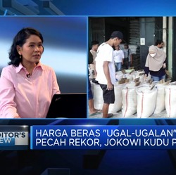 Lonjakan Harga Beras Belum Berakhir, Jokowi Harus Gimana?
