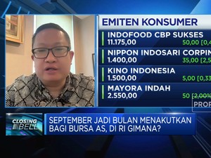 Masuk Tahun Politik, Sektor Ini Bakal Dulang Cuan Besar