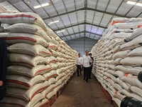 Demi Tumpuk Stok Beras, Bulog Pelototi 5 Wilayah RI Ini