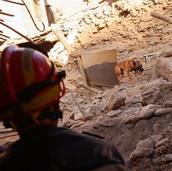 Gempa Magnitudo 7,0 Guncang China, Terasa sampai India