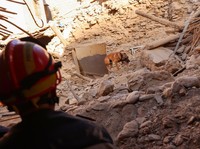 Gempa Magnitudo 7,0 Guncang China, Terasa sampai India