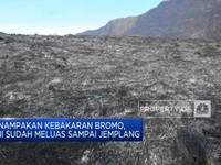 Video: Penampakan Kebakaran Bromo, Sudah Meluas Sampai Malang