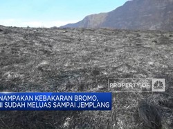 Video: Penampakan Kebakaran Bromo, Sudah Meluas Sampai Malang