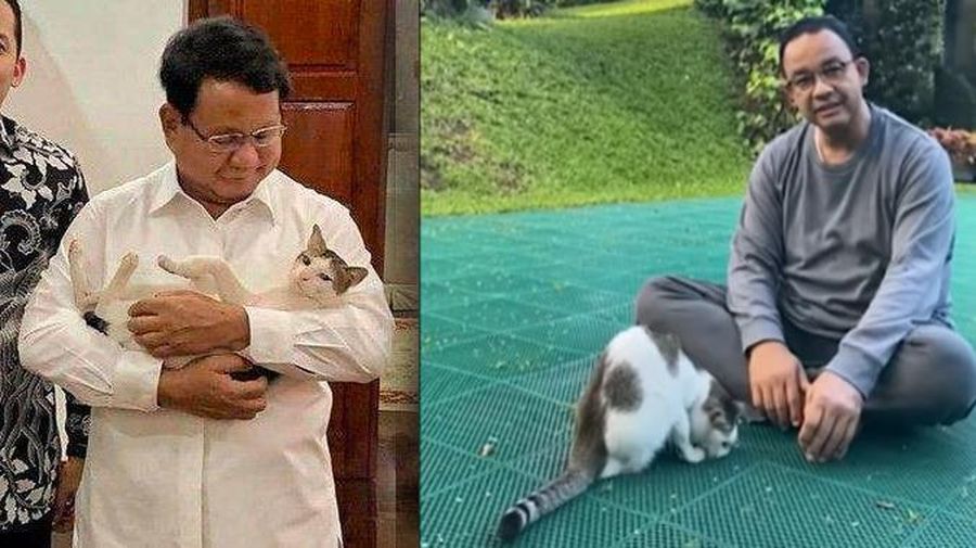 Kucing Anies Prabowo