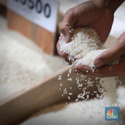 Pantas Harga Beras Eceran Ugal-ugalan, Ini Kondisi Sebenarnya