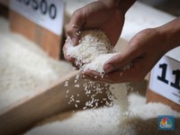 Pantas Harga Beras Eceran Ugal-ugalan, Ini Kondisi Sebenarnya