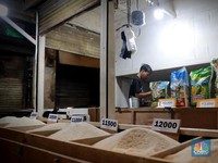 Pedagang Beras Kompak Teriak: Bukan Naik Lagi, Ganti Harga!