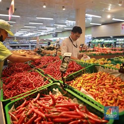 Aneh! Kementan Sebut Cabai Surplus, Penyebab Harga Menggila Terungkap