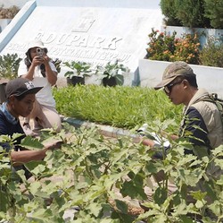 SIG Emiten BUMN Paling Rajin Bagi Dividen Jumbo, Ini Buktinya
