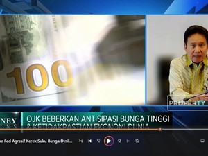 Suku Bunga The Fed Naik Agresif Dinilai Salah,Bos OJK Setuju?