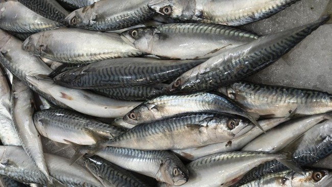 Ikan Sarden Bisa Cegah Stroke dan Sakit Jantung, Benarkah?