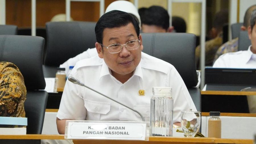 Kepala Bapanas Arief Prasetyo Adi saat Rapat Dengar Pendapat dengan Komisi IV DPR, Rabu (13/9/2023), (Dok Humas Bapanas)
