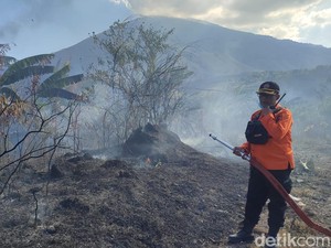 177 Hektare Lahan di Area Gunung Ciremai Terbakar