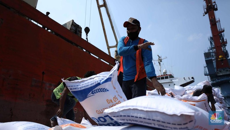 Petugas melakukan bongkar muat beras impor dari kapal Thai Binh12 asal Vietnam di Pelabuhan Tanjung Priok, Jakarta, Rabu (13/9/2023). Perum Bulog mendatangkan 21 tribun ton beras yang akan dikirim ke gudang kawasan DKI Jakarta dan Banten. (CNBC Indonesia/Tri Susilo)