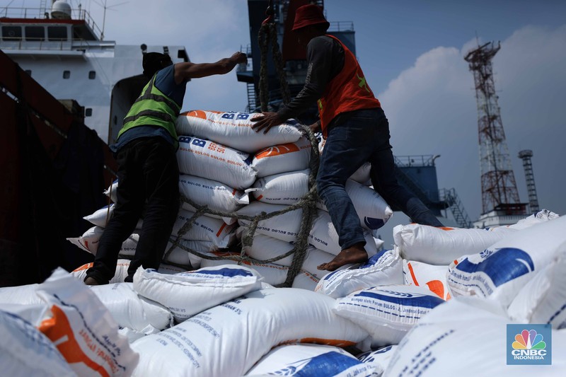 Petugas melakukan bongkar muat beras impor dari kapal Thai Binh12 asal Vietnam di Pelabuhan Tanjung Priok, Jakarta, Rabu (13/9/2023). Perum Bulog mendatangkan 21 tribun ton beras yang akan dikirim ke gudang kawasan DKI Jakarta dan Banten. (CNBC Indonesia/Tri Susilo)