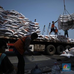 Hati-hati, Impor Beras Salah Jurus Bisa Bikin Petani 'Malas'