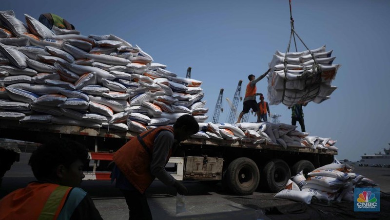 Petugas melakukan bongkar muat beras impor dari kapal Thai Binh12 asal Vietnam di Pelabuhan Tanjung Priok, Jakarta, Rabu (13/9/2023). Perum Bulog mendatangkan 21 tribun ton beras yang akan dikirim ke gudang kawasan DKI Jakarta dan Banten. (CNBC Indonesia/Tri Susilo)
