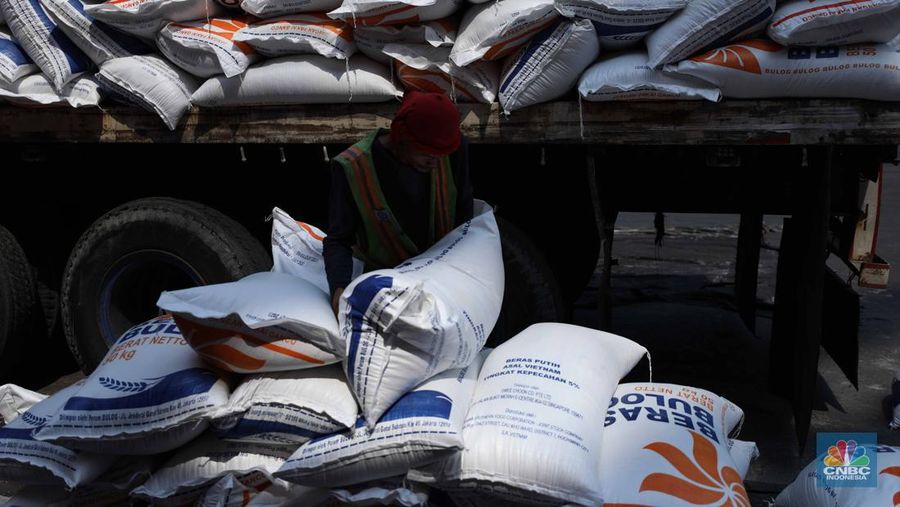 Petugas melakukan bongkar muat beras impor dari kapal Thai Binh12 asal Vietnam di Pelabuhan Tanjung Priok, Jakarta, Rabu (13/9/2023). Perum Bulog mendatangkan 40 ribu ton beras yang akan dikirim ke gudang kawasan DKI Jakarta dan Banten. (CNBC Indonesia/Tri Susilo)