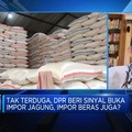 Dilema Impor Jagung Cs, Cermin Rumitnya Persoalan Pangan RI?