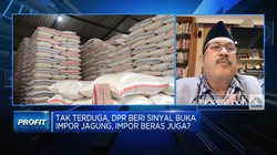 Dilema Impor Jagung Cs, Cermin Rumitnya Persoalan Pangan RI?
