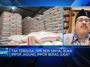 Dilema Impor Jagung Cs, Cermin Rumitnya Persoalan Pangan RI?