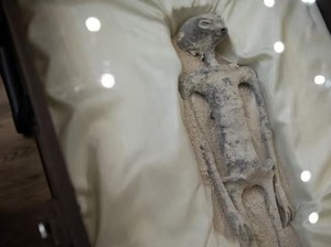 Disangka Alien, Temuan Jasad Misterius di Meksiko Ternyata...