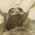 Ada Jasad Alien di Meksiko, Begini Kata NASA
