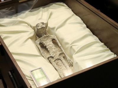 Pakar Sebut Manusia Keturunan Alien, Ungkap Buktinya