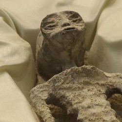 AI Duluan Ketemu Alien Kalahkan Manusia, Cek Penjelasannya