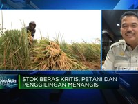 Kementan Soal Anjloknya Pasokan Gabah ke Penggilingan Beras