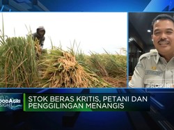 Kementan Soal Anjloknya Pasokan Gabah ke Penggilingan Beras