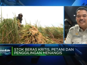 Kementan Soal Anjloknya Pasokan Gabah ke Penggilingan Beras