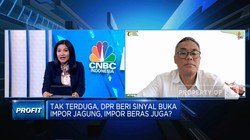 RI Masih Dihantui Persoalan Beras & Ketahanan Pangan, Solusi?