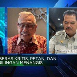 Stok Beras Kritis & Harga Terus Melambung, Apa Penyebabnya?