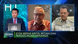 Stok Beras Kritis & Harga Terus Melambung, Apa Penyebabnya?