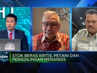 Stok Beras Kritis & Harga Terus Melambung, Apa Penyebabnya?
