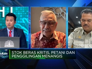 Stok Beras Kritis & Harga Terus Melambung, Apa Penyebabnya?