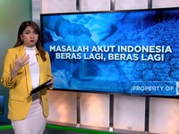 Video: Masalah Akut Indonesia, Beras Lagi, Beras Lagi