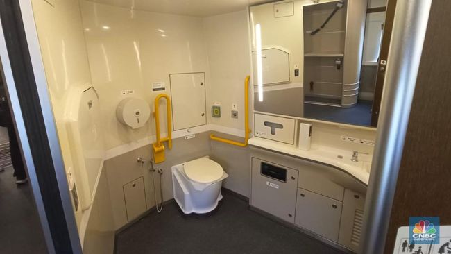 Toilet Duduk atau Jongkok, Mana yang Lebih Sehat?