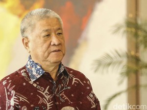 Aguan Buka-bukaan Rencana Bangun Mal dan Kebun Raya di IKN