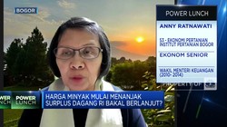 Tren Surplus Neraca Dagang RI Turun, Ekonom Waspadai Hal Ini!